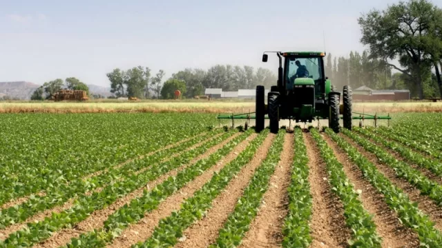 Las ganancias de los empresarios agrícolas disminuirán más de la mitad luego de la Reforma Tributaria