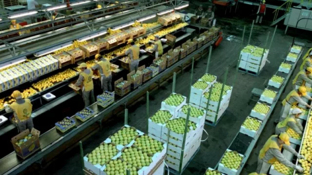 La citrícola tucumana San Miguel amplía su portfolio con nuevos productos para exportación