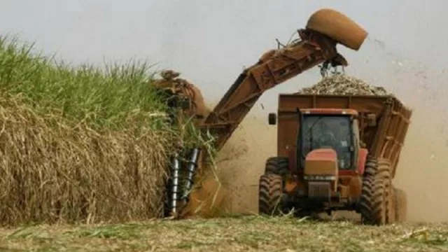 Arranca la zafra en Tucumán: mañana el Ingenio La Florida oficiará la misa y el sábado lanzará las máquinas al campo