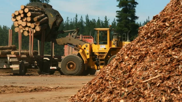 Chaco se incorporó a la mesa nacional de Foresto Industria