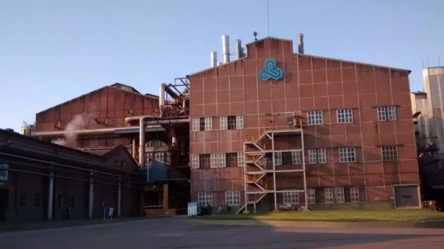 Ledesma se expande en el NOA y ahora sumó 200 hectáreas con plantaciones de limón