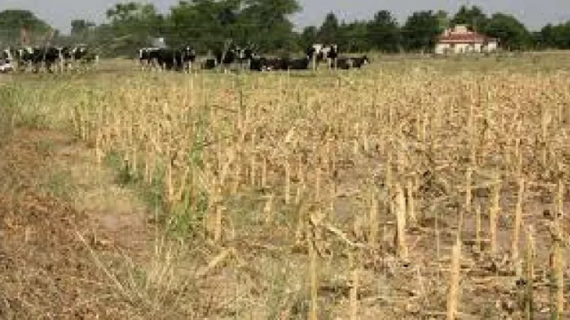 A pesar la sequía, el Gobierno estima que habrá un crecimiento económico del 3%