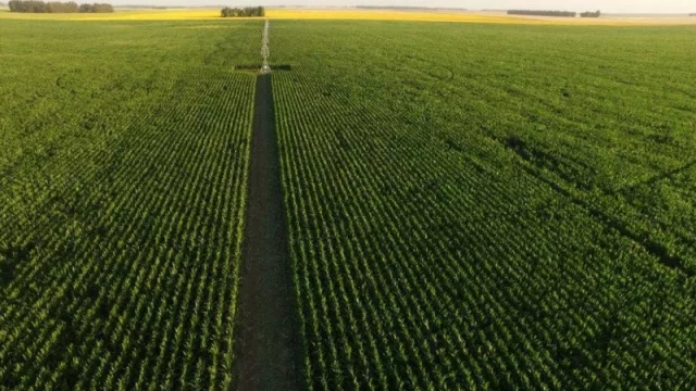 El INDEC realizará el Censo Nacional Agropecuario 2018 en más de 190 millones de hectáreas