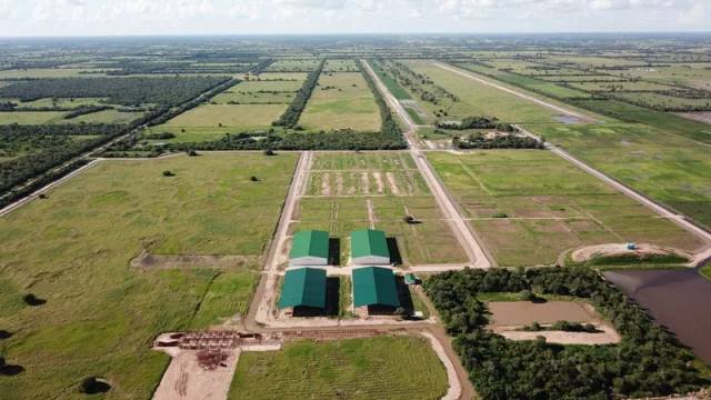 Expo Pioneros, con nueva fecha y renovados desafíos