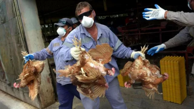 El SUCCA continúa investigando a empresas tucumanas por irregularidades