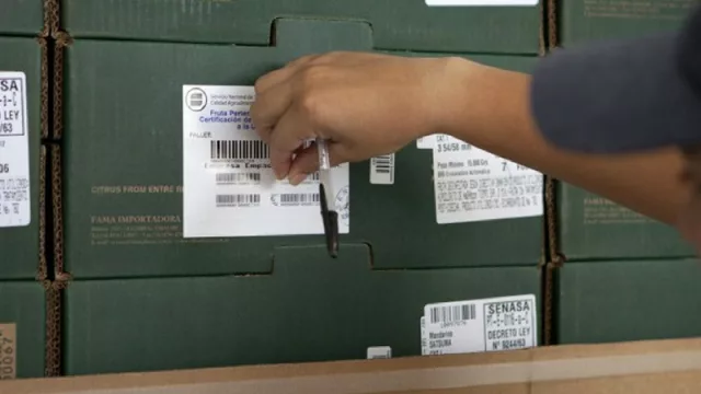 La exportación de citrus a Europa y USA obligó a capacitar Inspectores de Empaque en Tucumán