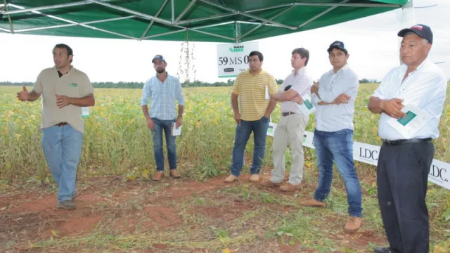 Macro Seed (LDC) presentó sus nuevas variedades de soja con cientos de productores