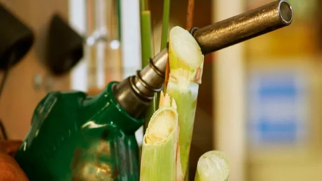 Europa inició un proceso que podría frenar la exportación del biodiesel tucumano