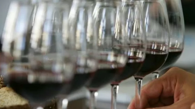 Los productores de vino en Tucumán recibirán exenciones impositivas por 10 años