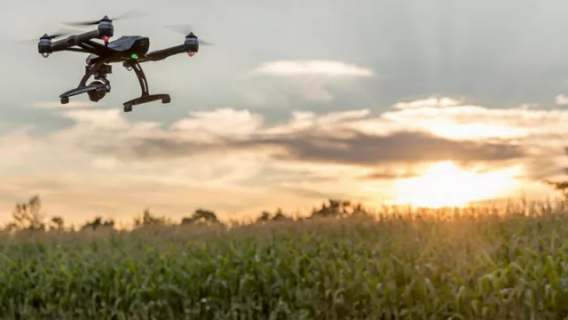 Una semillera y seis drones para mejorar el rendimiento del trigo