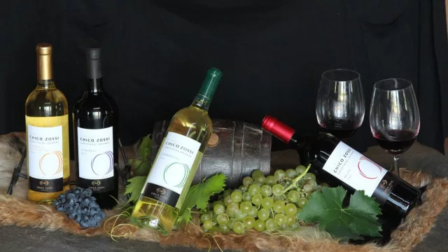 Chico Zossi, la bodega más antigua de Tucumán, presentó el único espumante de la provincia fermentado en botella 