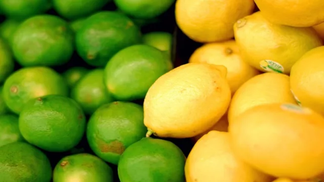 Los productores tucumanos de frutas y cítricos cierran el año con una sonrisa tras la quita del arancel de Estados Unidos a los productos argentinos