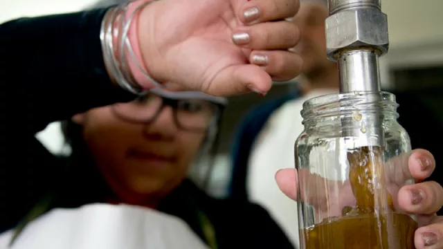 Productores tucumanos participan del aporte de más de $4 millones por parte del Estado