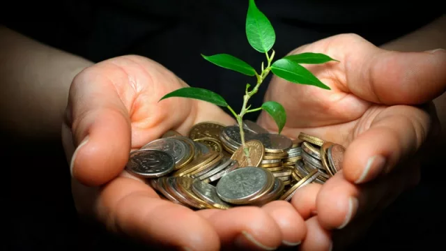 ¿Vas a sembrar? Banco Galicia tiene una solución financiera a la medida de cada cliente