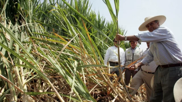 ¿Quién es Adolfo Rubinstein, el ministro que amenaza a la industria azucarera?