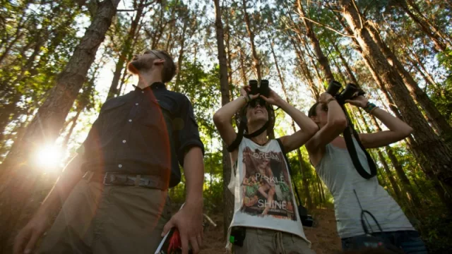 Récord de viajeros hospedados durante los primeros 9 meses del año