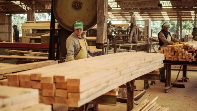 Madereros se reunieron con Macri por temas forestales e industriales