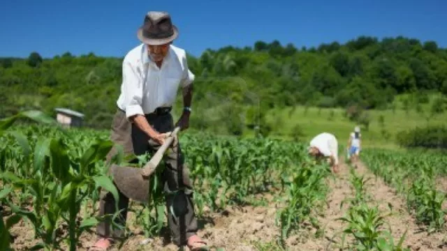 ¿Sabías cuál es el sector que más puestos de trabajo genera en Argentina?