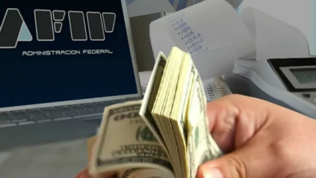 Sobre el reclamo de la Afip a Mercado Libre, opina...