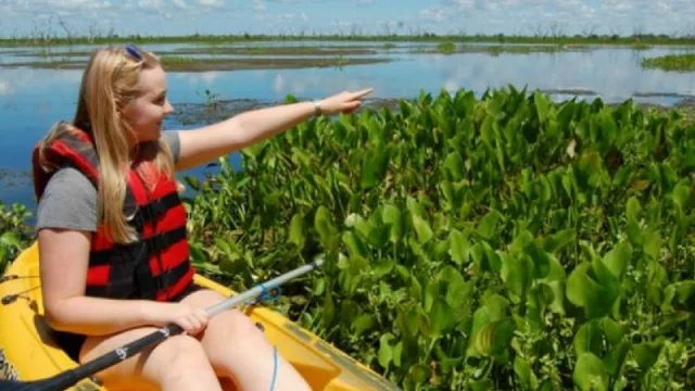 Argentina y su nueva joya: el Corredor Ecoturístico del Litoral