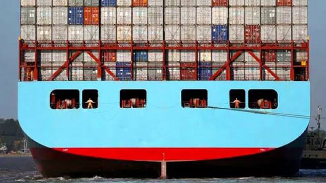 Productores tucumanos de arándanos sonríen: las exportaciones marítimas con cifra récord