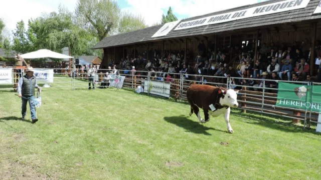 Este viernes comienza la 6° Exposición de Bovinos de Neuquén