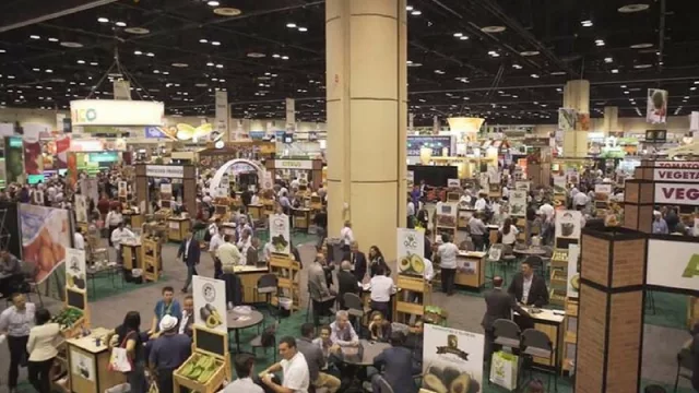 For export: más de 140 empresas tucumanas buscaron mercados en el exterior