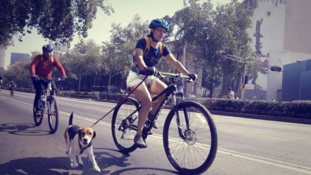 Emprendedor tucumano prestará bicicletas para incentivar su uso