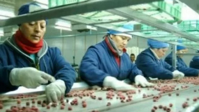 Leve crecimiento de la actividad económica del NOA