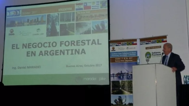 Inversores visitan el Litoral por proyectos futuros foresto-industriales