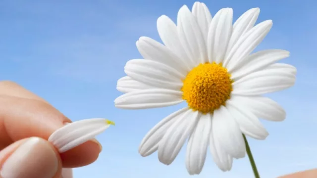 Resultado de encuesta anterior