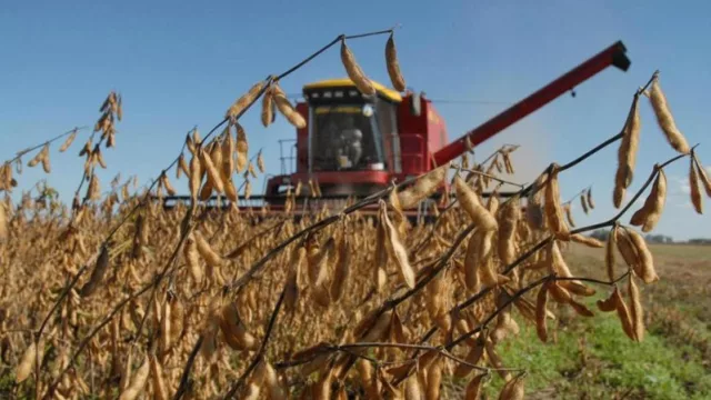 Según Urriza, el 90% de los productores del Plan Belgrano ya tienen sus órdenes de pago