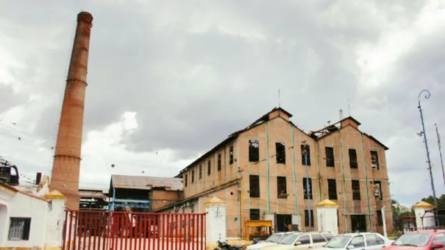 Por debajo de las expectativas: llega el final de la zafra con menos materia prima por el efecto de las heladas