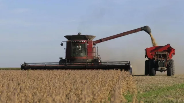 Estímulo Agrícola Plan Belgrano: liberaron nuevos fondos para los productores