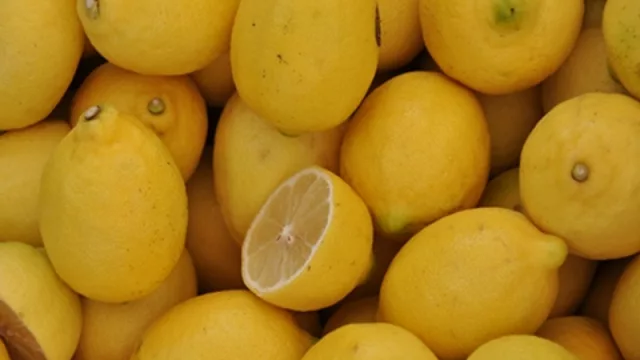 El citrus tucumano será un ejemplo para los exportadores del país