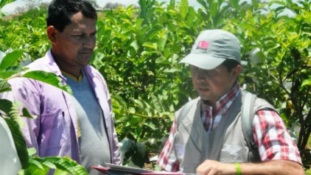 Se realizará una prueba piloto del Censo Agropecuario en noviembre