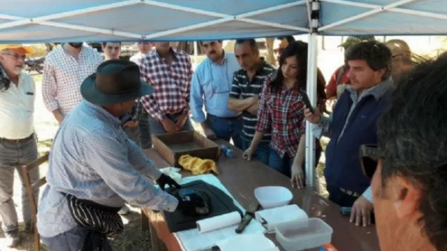 Piscicultura, una excelente alternativa productiva para Tucumán