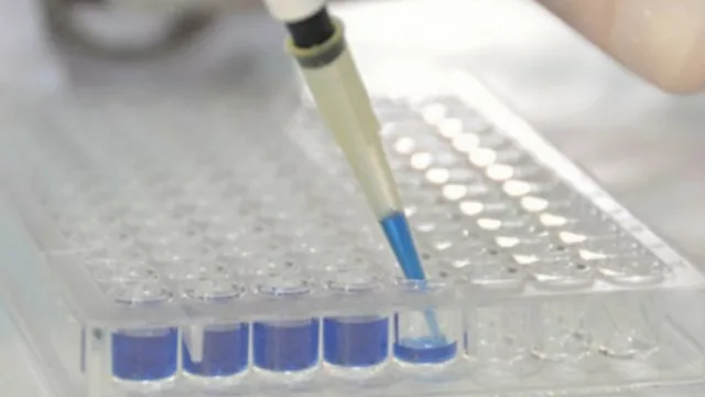 Se trabaja en la incorporación de nanotecnología a la producción de alimentos