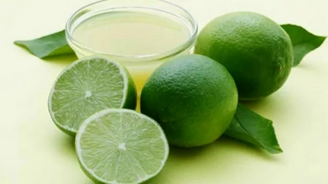 Fin del sueño: los limones tucumanos no entrarán a Estados Unidos hasta el 2018