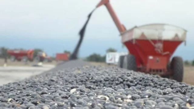 Tucumán es un sello de calidad exportadora en las ferias globales