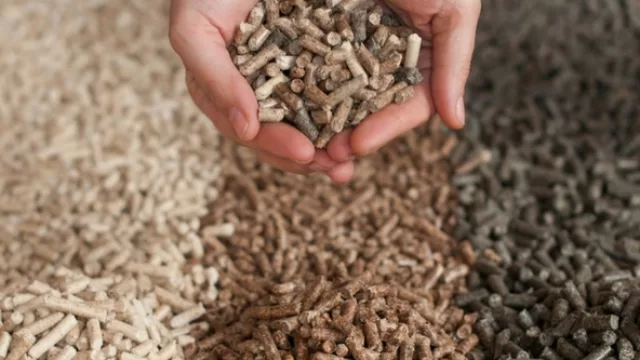 La biomasa, el futuro de la energía y la economía tucumana