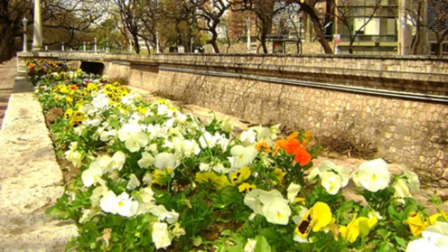 Llega la primavera y vos te sentís…