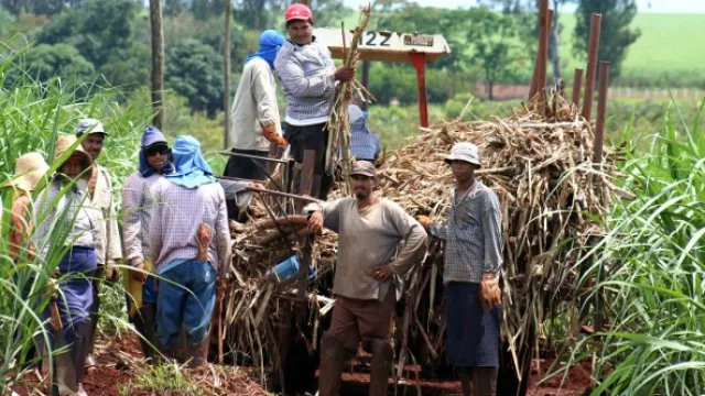 Senadores aprobaron el proyecto de ley que crea el Monotributo Cañero