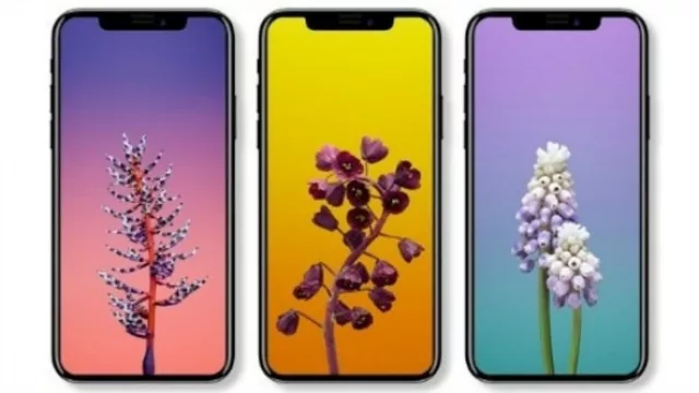 Se presenta el nuevo Iphone y te anticipamos algunas de sus novedades