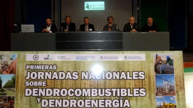 El potencial forestal como alternativa para la generación de energía en la región