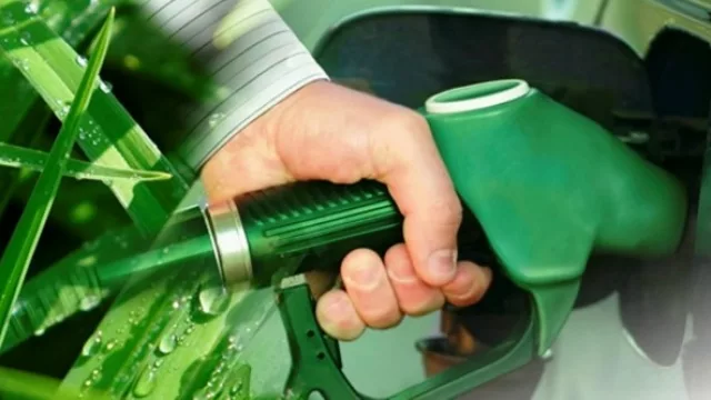 Especialistas aseguran que el etanol puede cambiar al país y a la provincia