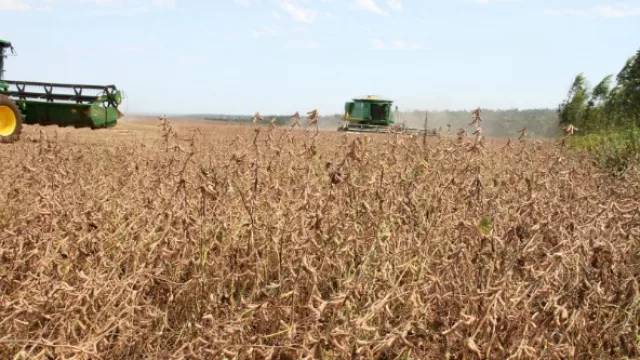 Las exportaciones presentan balance positivo en el 1° semestre del año