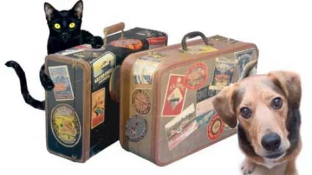 Resultado de encuesta anterior