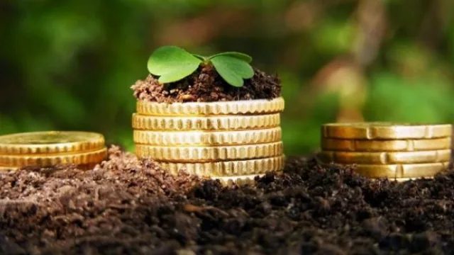 Con el impulso de los limones tucumanos y los productos del NEA, las economías regionales mostraron un mayor valor exportador