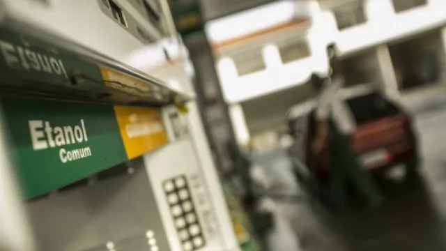 Creció 65% la exportación de biocombustibles, aunque no se activó el mercado europeo